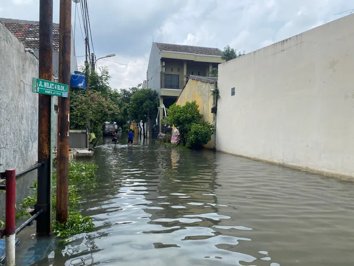 Penampakan Ikan Mati