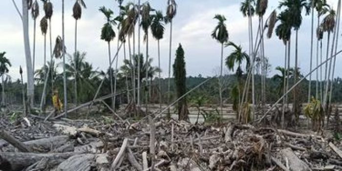 Kasus Beras SPHP Oplosan